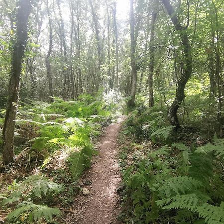 Estancia Con Jardin Entre Golf Y Monte - Cerca Logrono Sojuela Екстериор снимка